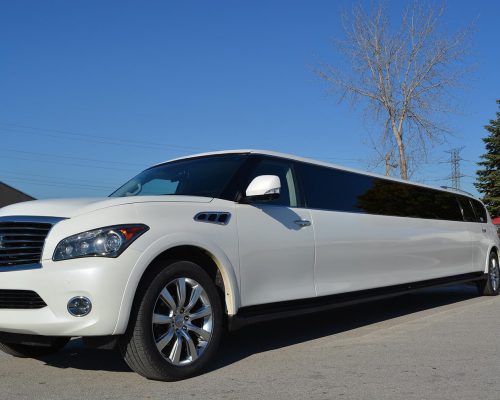 20 PASS. INFINITI QX56 SNOW PEARL-05-min