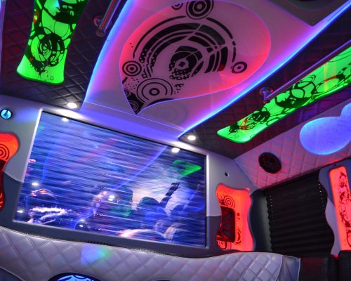 34 pass. party bus ENCLAVE EDITION-03-min
