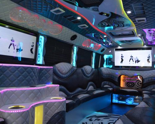34 pass. party bus ENCLAVE EDITION- 11-min