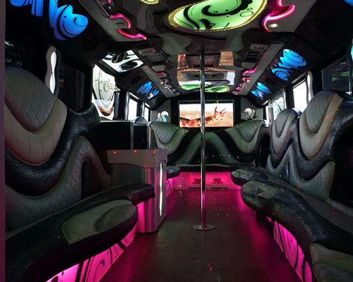 34 pass. party bus MARTINI EDITION-5