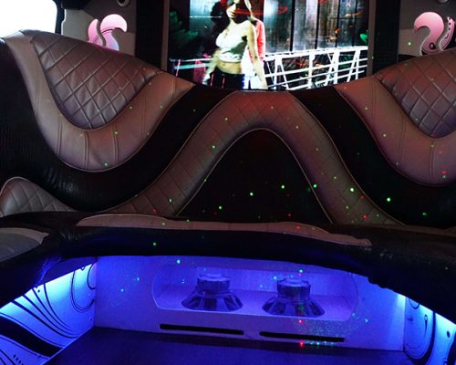 34 pass. party bus MARTINI EDITION-6