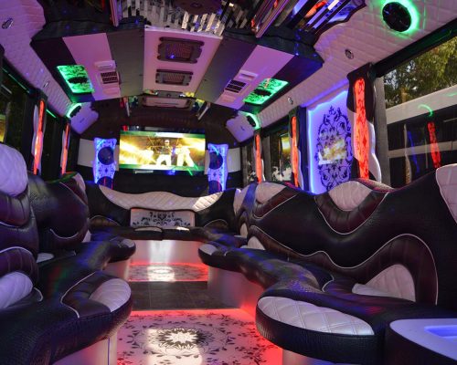 34 pass. party bus OLYMPUS EDITION-04-min