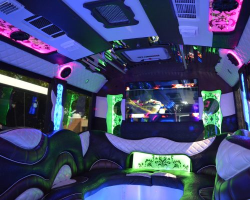 34 pass. party bus OLYMPUS EDITION-07-min