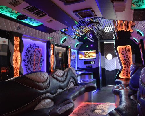 34 pass. party bus OLYMPUS EDITION-10-min