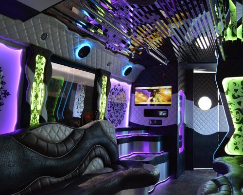34 pass. party bus OLYMPUS EDITION-12-min
