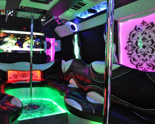 34 pass. party bus OLYMPUS EDITION-16-min