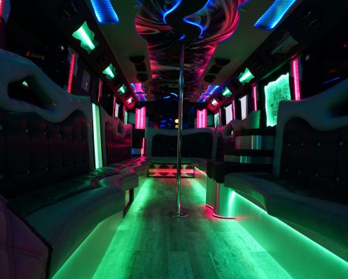 34 pass. party bus VENICE EDITION 1 min scaled