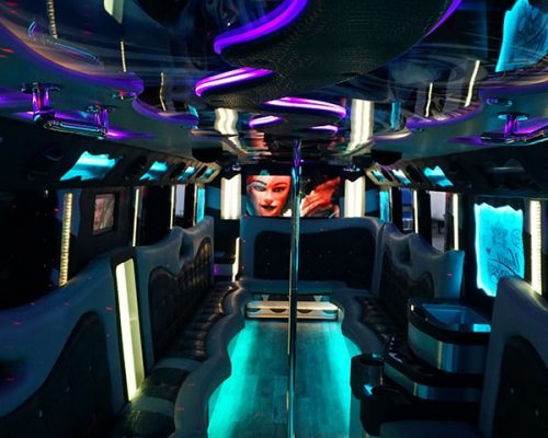 34 pass. party bus "VENICE EDITION"