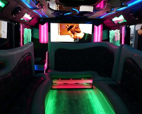 34 pass. party bus VENICE EDITION-3-min