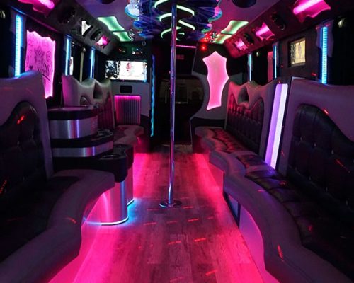 34 pass. party bus VENICE EDITION 4 min