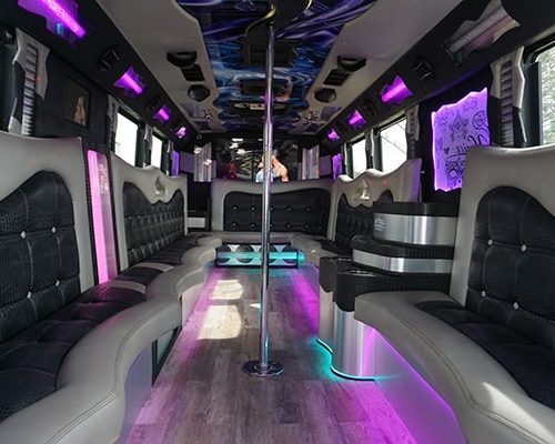 34 pass. party bus VENICE EDITION-6-min