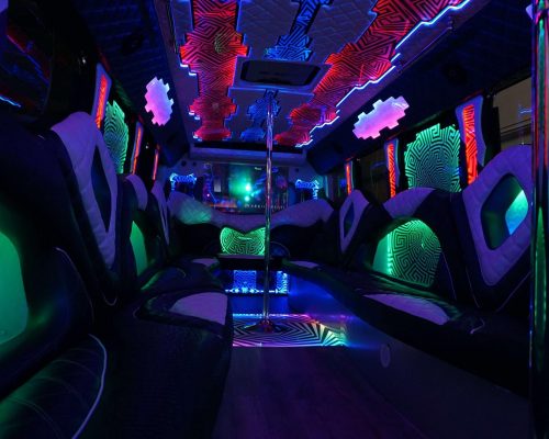 40 PASS. PARTY BUS EPIC 10 min