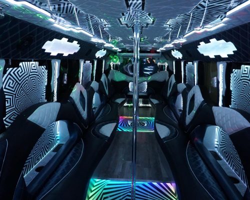 40 PASS. PARTY BUS EPIC-17-min