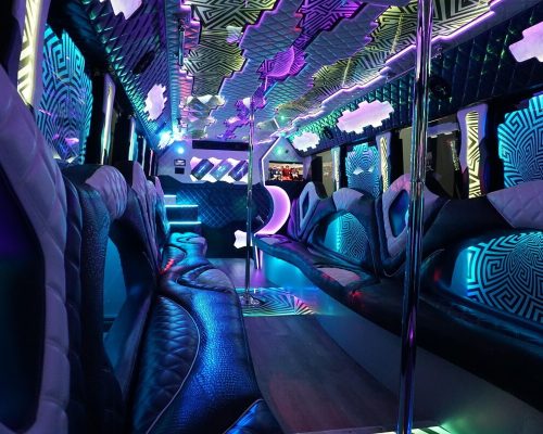 40 PASS. PARTY BUS EPIC 5 min