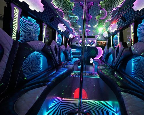 40 PASS. PARTY BUS EPIC-7-min