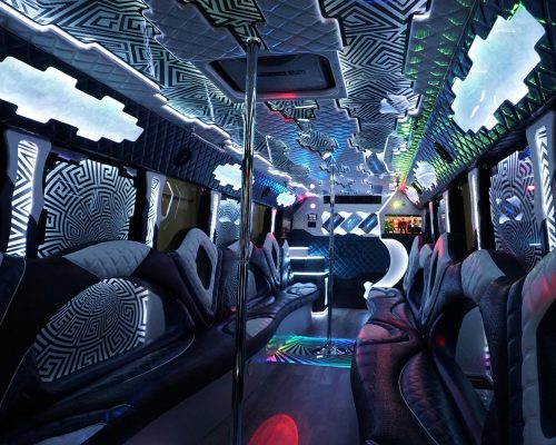 40 PASS. PARTY BUS EPIC-8-min