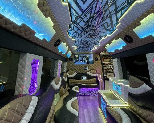 Mercedes Sprinter VIP Edition 8 min